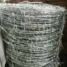 Stainless Steel Double Line Barbed Wire